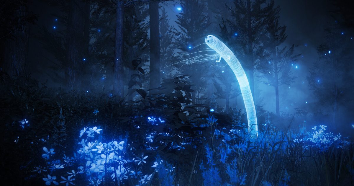 A glowing blue spirit creature in a dark forest full of blue flowers